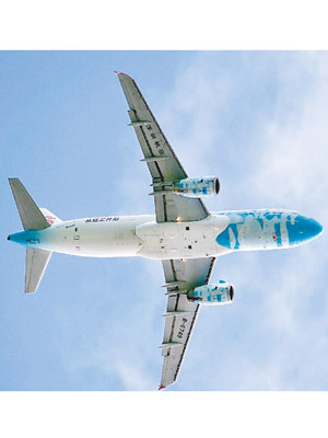 事發當天有人拍下低飛的深圳航空客機照片。（The Aviation Herald圖片）