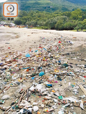 垃圾隨海浪沖到岸上，令大嶼山長沙泳灘滿布垃圾。（讀者陳先生提供）