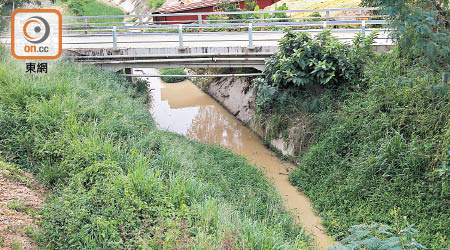 蓮麻坑河發現一些具高生態價值的物種，東段道路擴闊工程會對生態構成一定影響。（資料圖片）