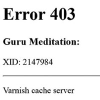 國際常設仲裁法院網站昨晚無法登入，頁面出現「Error」等字樣。（互聯網圖片）