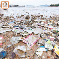 愉景灣的海灘慘遭垃圾蹂躪。