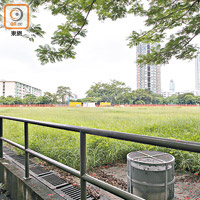 荒廢養草<BR>九龍城老龍坑公園