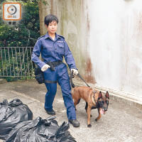 警犬到場協助搜索。