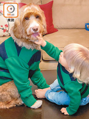 家中養狗或可減低孩子患過敏症的風險。（資料圖片）