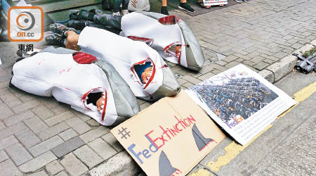 示威者穿上被割翅的鯊魚衣「瞓地」，象徵鯊魚傷痕纍纍。（曾海琪攝）