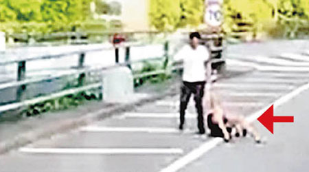 外籍女子（箭嘴示）佔領馬路，身旁男友將她強行拖走。（「巴士的事討論區」影片截圖）