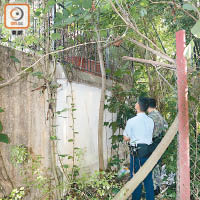 落馬洲爆竊案警方懷疑賊人爬樹入屋。（冼耀華攝）