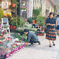 花墟商戶最多把貨物置於店外三呎，未有違規。（黃凱翎攝）