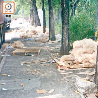 水貨客在上水彩發街一帶遺下大量垃圾。