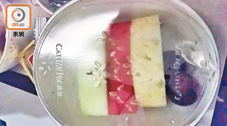 國泰飛機餐的生果盒附送生猛蒼蠅，涉事乘客其後更不敢再吃生果。（資料圖片）