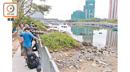 「龍友」發現岩鷺被魚絲纏着。（張世洋攝）