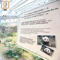 海洋公園貼出悼文悼念大熊貓佳佳。（何天成攝）