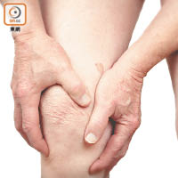 關節皺褶發生病變，屈曲膝蓋時會磨蝕軟骨。