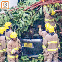 消防局內私家車被壓毀。（冼耀華攝）