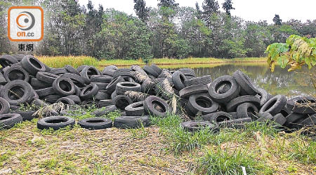 觀鳥會二月發現一堆棄置車胎被棄置魚塘一帶，擔心污染環境。（香港觀鳥會提供）