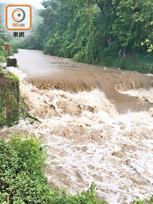 大埔林村<br>颱風襲港，雨勢極大，大埔林村河如山洪暴發。