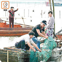 江蘇省有廿六個大閘蟹養殖場可進口大閘蟹到香港。（資料圖片）
