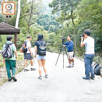 行山隊眾成員上山進行採訪。