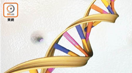 基因有異或增加患罕見淋巴癌的風險。（資料圖片）