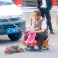 逼狗拉車<br>上海老翁不斷揮動木棍催促狗隻拉車。（互聯網圖片）