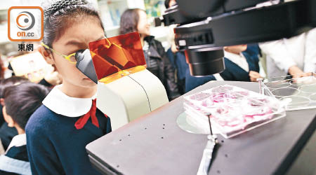 研究機構希望學界提升香港學生對理科的興趣。