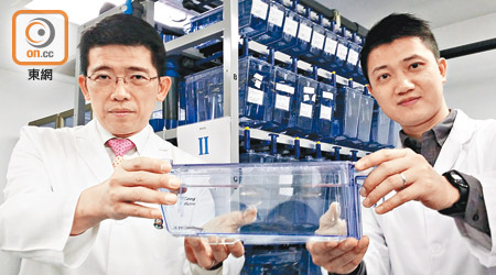 梁如鴻（左）以斑馬魚研究藥物救治急性髓性白血病。（張汶樂攝）