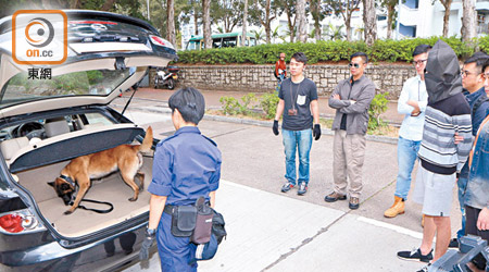 粉嶺<br>警犬協助搜查車尾箱。（林少兒攝）