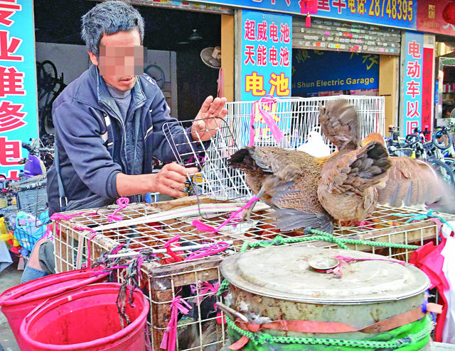 路邊雞照劏禽流沒法擋