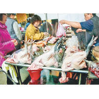 台灣自昨日起禁運禁宰活雞，部分街市庫存量僅足夠三天。（中時電子報圖片）