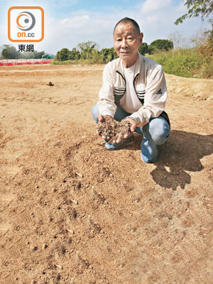 陳牛稱收回的農地泥質鬆且乏黏性，不宜耕種。