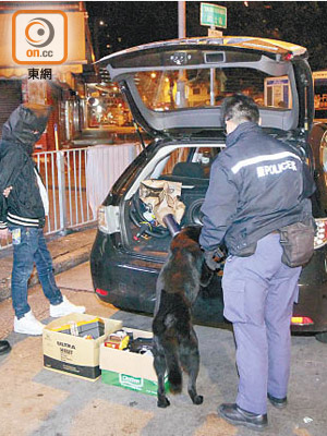 一名男子（左二）被捕，緝毒犬協助搜車。（文健雄攝）