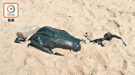 海豚屍體疑被海浪沖上岸。（讀者提供）