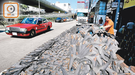 Sea Shepherd早前發現有人在本港街道上處理魚翅。（Sea Shepherd提供）