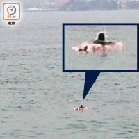 昂船洲海空搜救<br>跳橋妻子被發現在海面漂浮。（讀者提供）