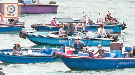 在青馬大橋底，逾百釣魚艇聚集。