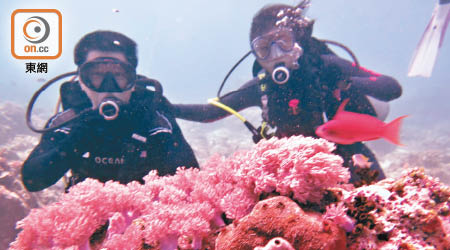陳紹鴻（左）稱潛水人士應以兩人一組，互相照應。