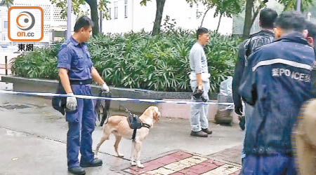 警犬到場協助搜索。（林嘉嘉攝）