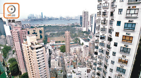 地產商再申請把大坑道綠化地改劃為道路，以配合其重建項目。（資料圖片）