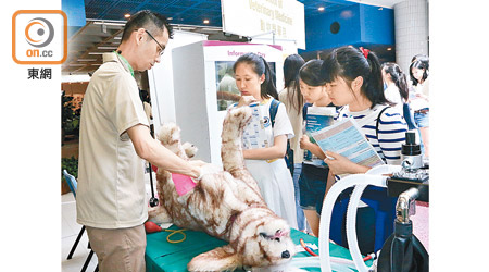 郭位指獸醫學學士課程在九月開學時，即可獲臨時認證資格。（資料圖片）