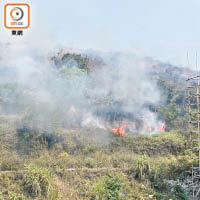 大陽輋村山火曾一度逼近民居。