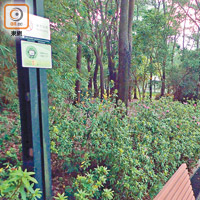 大埔海濱公園內的WiFi標示寥寥可數。