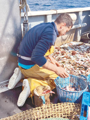 有歐洲漁民義務分出漁獲中的垃圾。（WWF圖片）