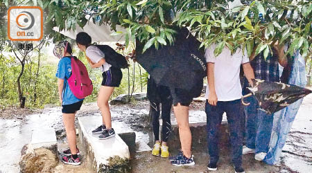 市民公然在青山靶場內種樹建涼亭，讓行山人士乘涼避雨。