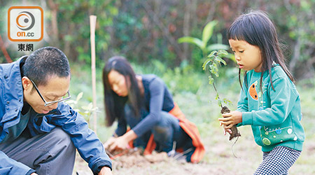 有大江埔村的村民一同參加植樹活動保育山林。