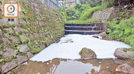 鴉山村河流多處出現污水泡沫。（朱先儒攝）