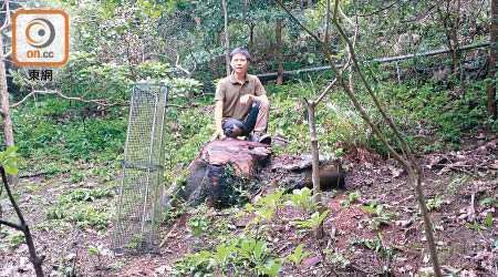 趙錦威指農場以保護網圍着新種的木土植物，以防被動物吃掉幼苗，提高存活率。（馮淑環攝）