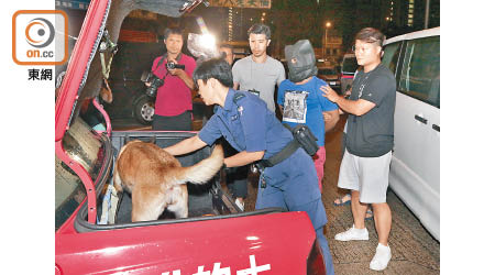 緝毒犬到場搜車，印度疑犯被押在旁邊助查。