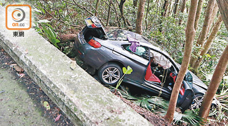 跑車失事衝落山坡樹叢。（趙瑞麟攝）