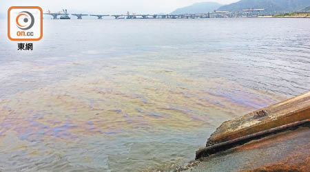 疑似油污傳出濃烈的柴油味。（朱先儒攝）