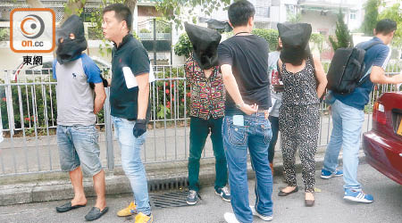 警方去年八月採取行動，拘捕多名涉案被告及多名越南人蛇。